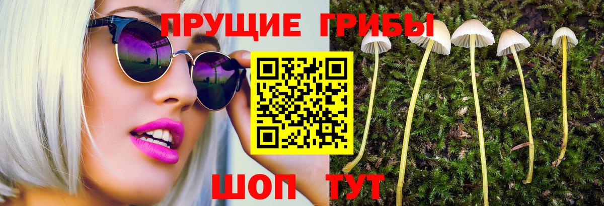 Галлюциногенные грибы Cubensis Южноуральск