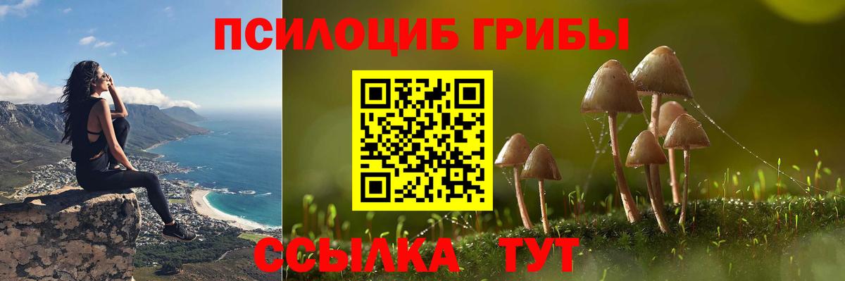 Псилоцибиновые грибы Psilocybine cubensis  Псилоцибиновые грибы ЛСД  Южноуральск  Вход с VPN 
